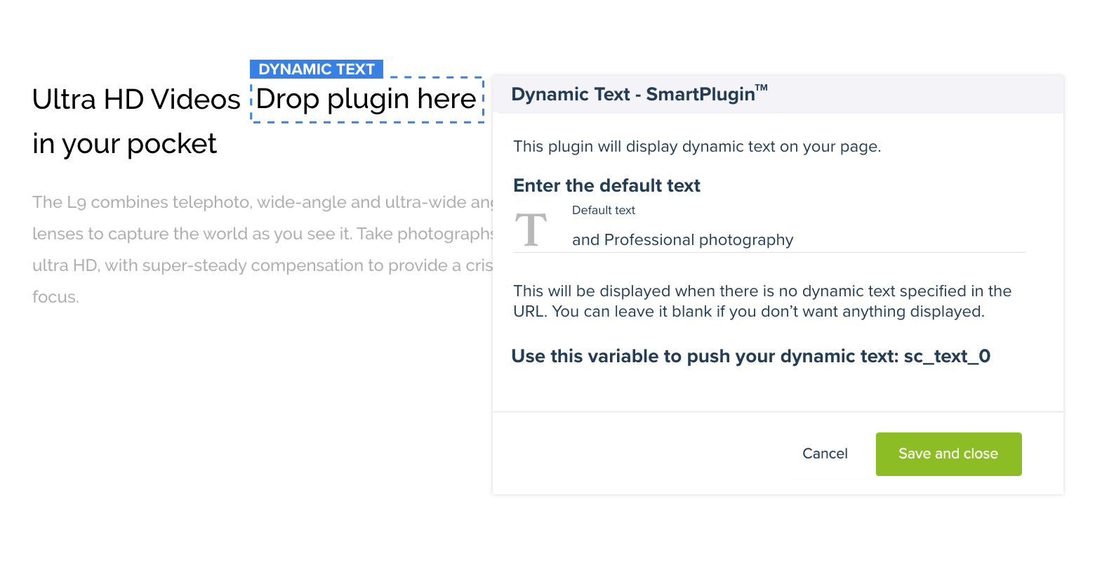 add dynamic text to landing pages
